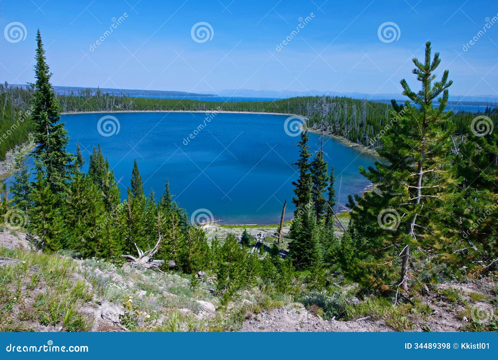 Vista del lago Yellowstone fotografia stock. Immagine di parco 34489398