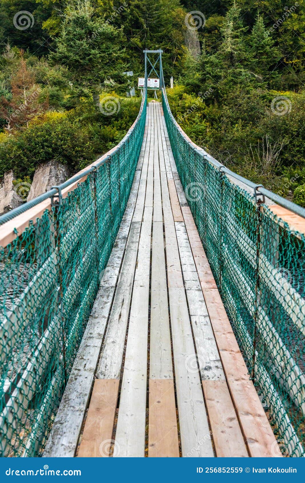 Vista Del Puente Colgante De La Suspensión Del Río Salmón En El