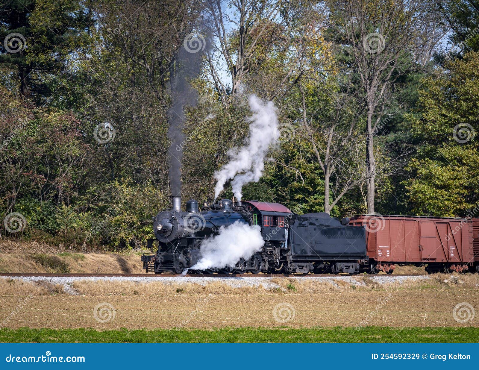 Vista Di Un Treno Merci a Vapore Ripristinato Che Soffia Fumo E Vapore Che  Viaggia in Una Campagna Rurale in Una Giornata Di Sole Immagine Stock -  Immagine di soffiare, rivestimento: 254592329