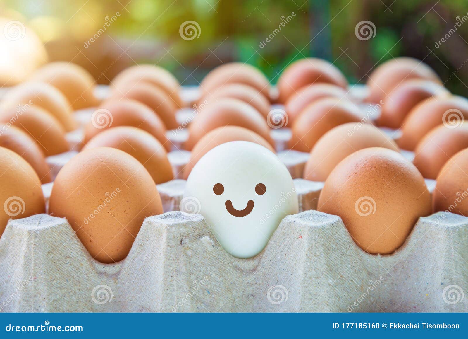 Restringir detective Por Vista Lateral De Los Huevos Blancos Sonrientes Con Huevos De Gallina En Una Caja De Huevo Abierta En El Suelo De Madera Con Natura Foto de archivo - Imagen de harpillera, pascua: Restringir detective Por Vista Lateral De Los Huevos Blancos Sonrientes Con Huevos De Gallina En Una Caja De Huevo Abierta En El Suelo De Madera Con Natura Foto de archivo - Imagen de harpillera, pascua: