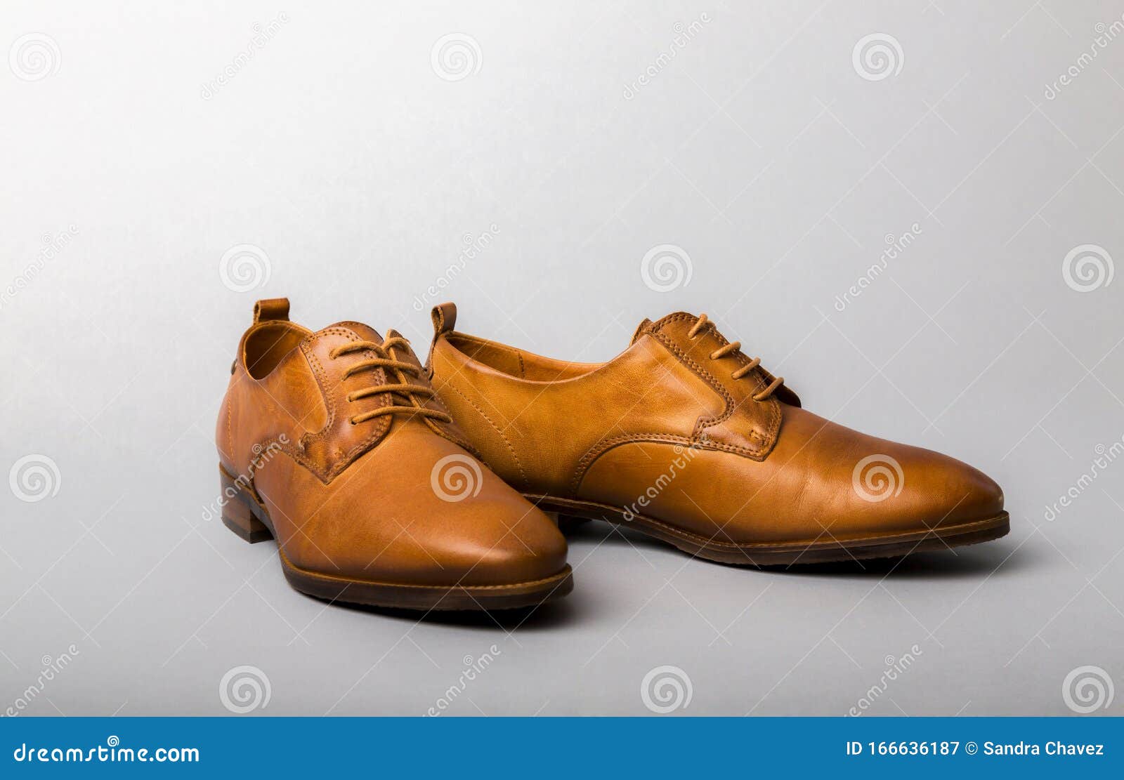 Vista Lateral De Zapatos Casuales Para Mujeres, Este Par De Zapatos Elegantes Es De Cowhide Y Su Color Marrón Imagen de archivo - Imagen de oficina, estilo: 166636187
