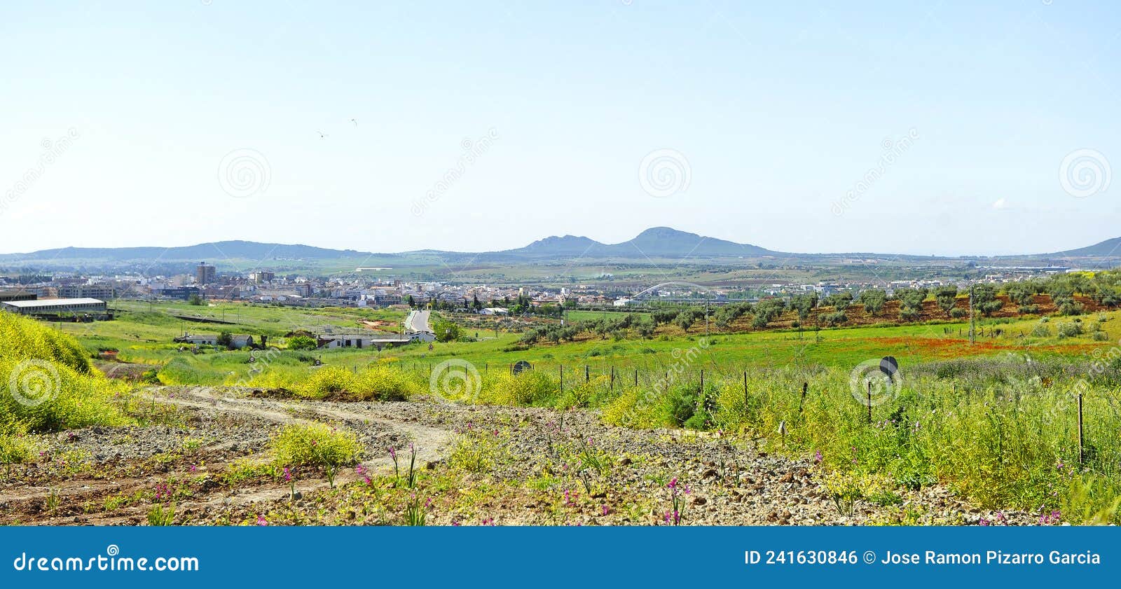 vista lejana de la ciudad de mÃÂ©rida, extremadura, espaÃÂ±a