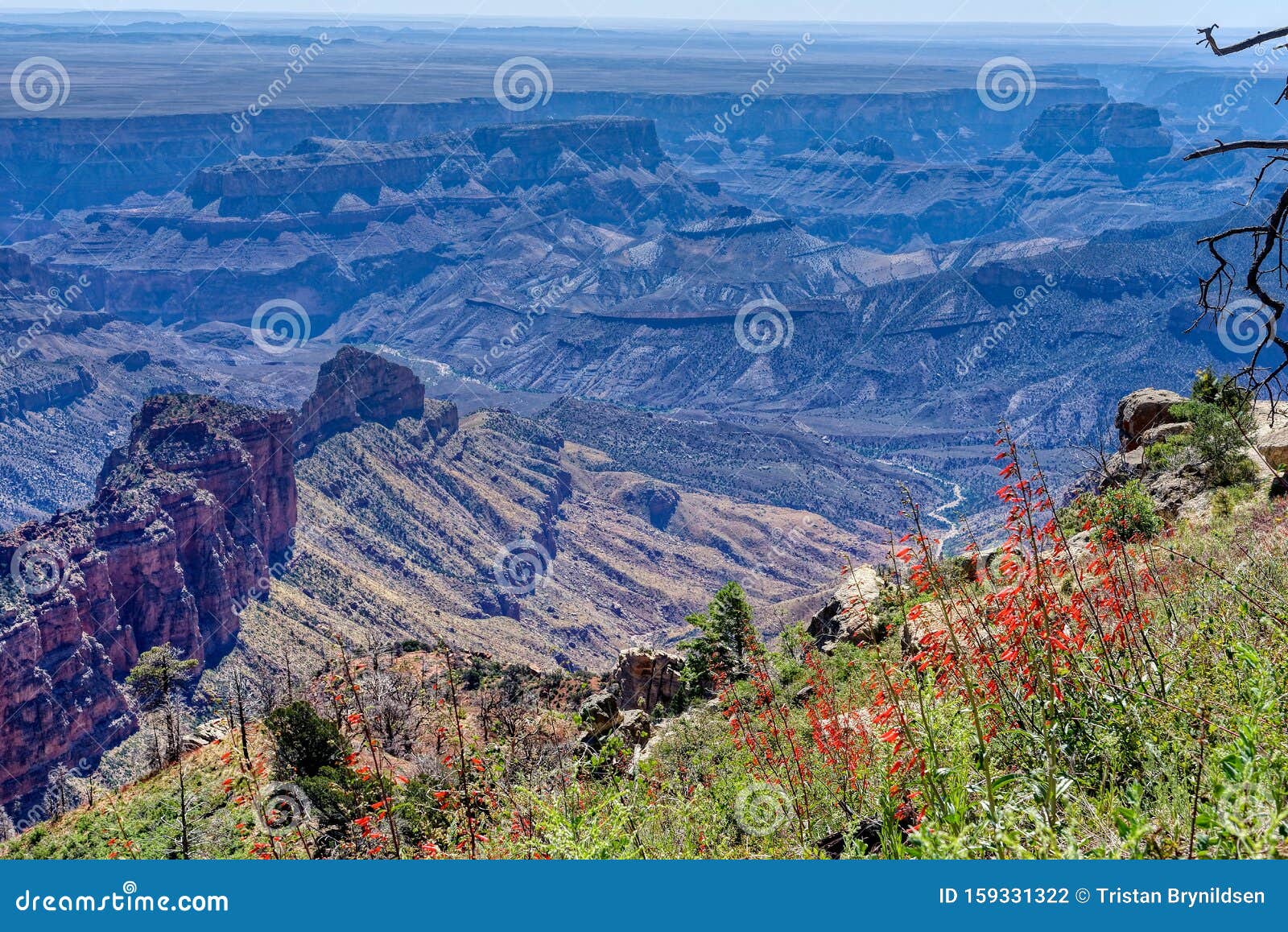 Vista of the North Rim of the Grand Canyon Stock Photo - Image of ...