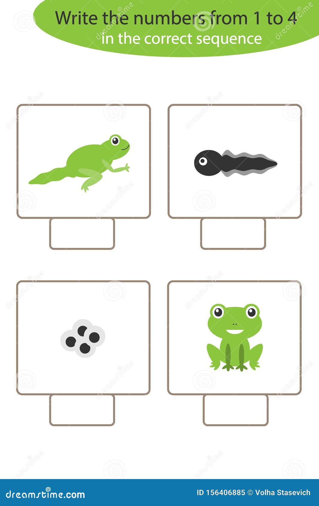 Visual Game with Frog Life Cycle for Kids, Educational Task for Intended For Frogs Life Cycle Worksheet
