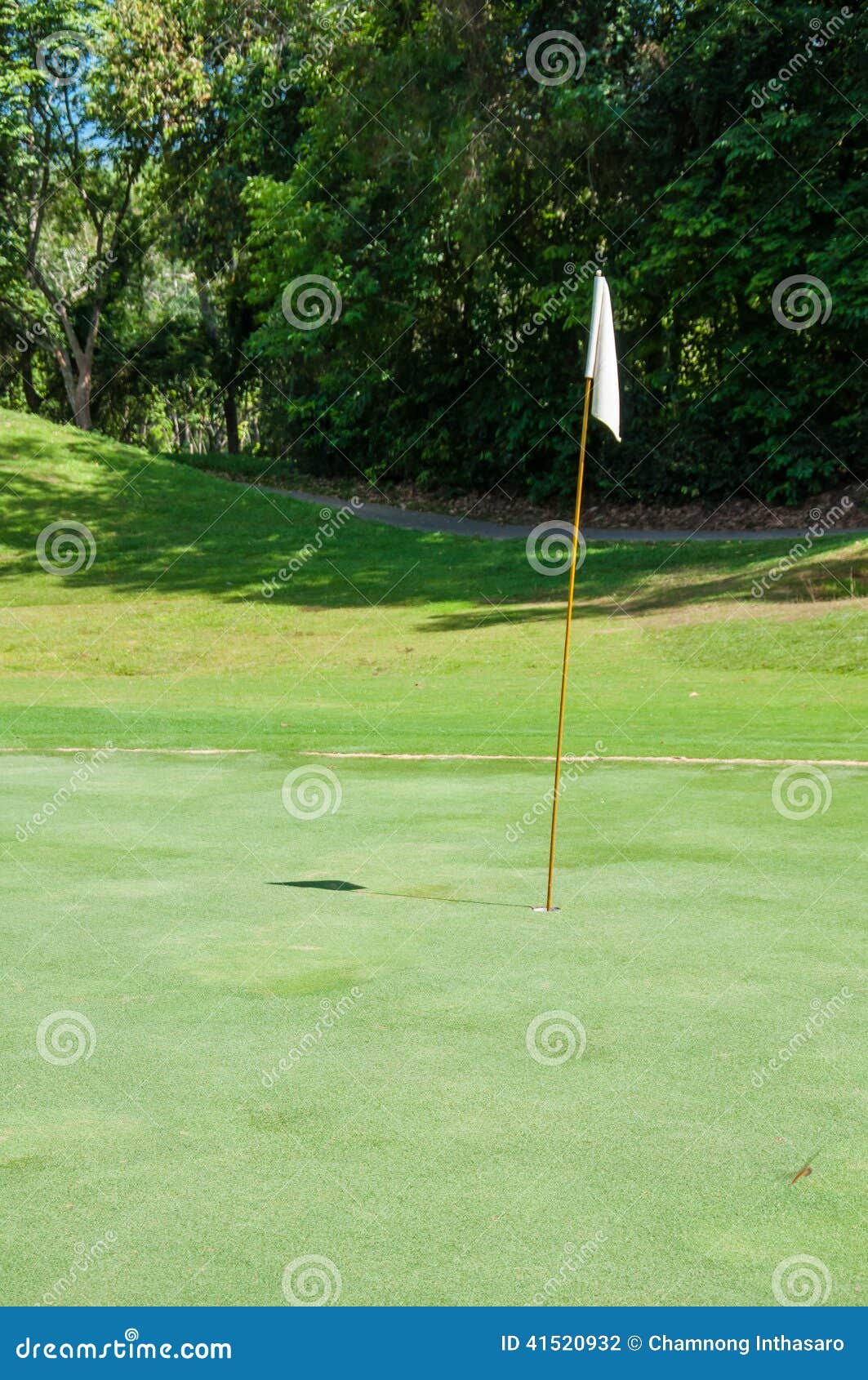 Vit flagga i grönt gräs för golfbana. Vit flagga i isolerat grönt gräs för golfbana