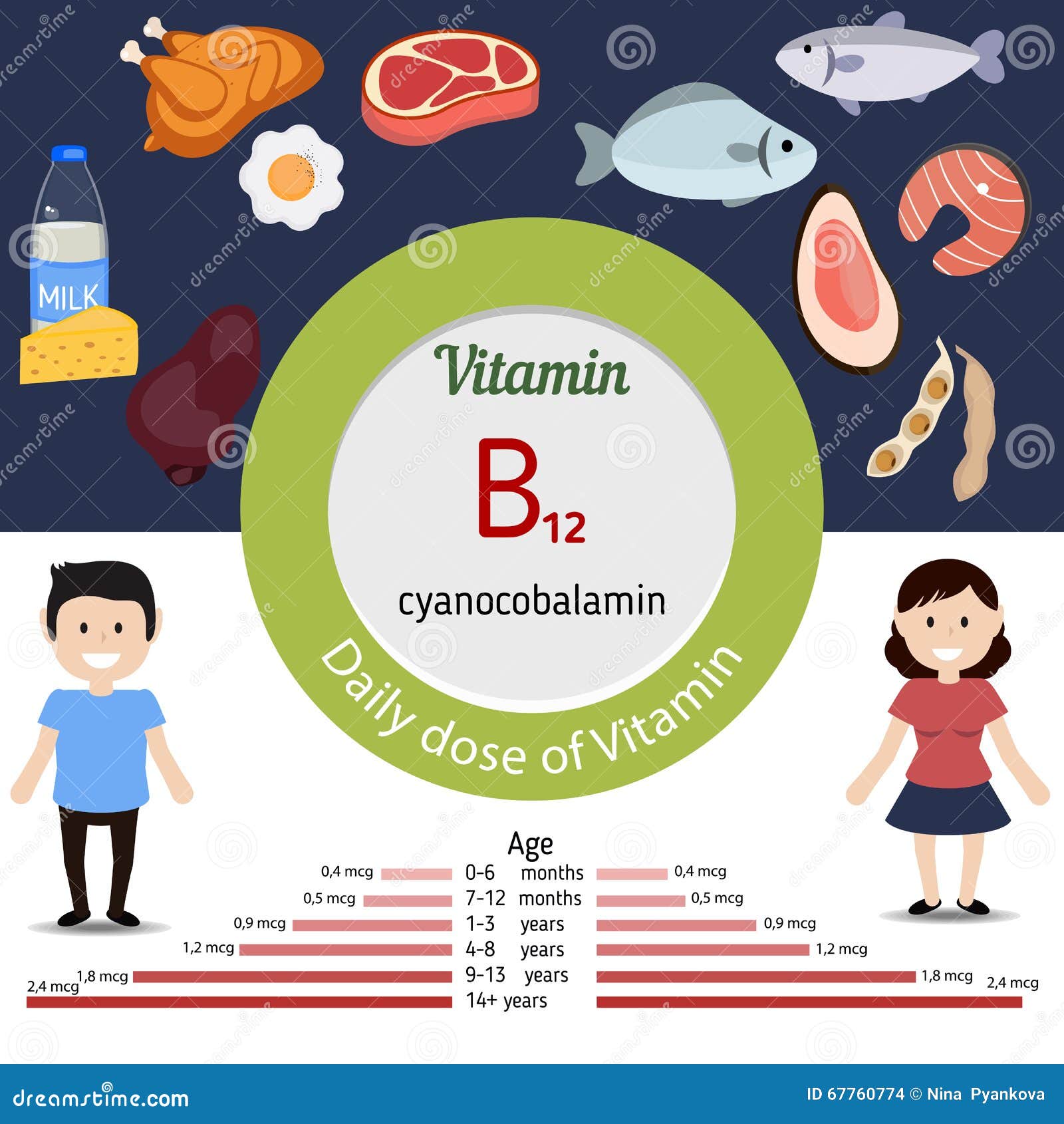 Vitamin B12 Oder Cobalamin Infographic Vektor Abbildung Illustration