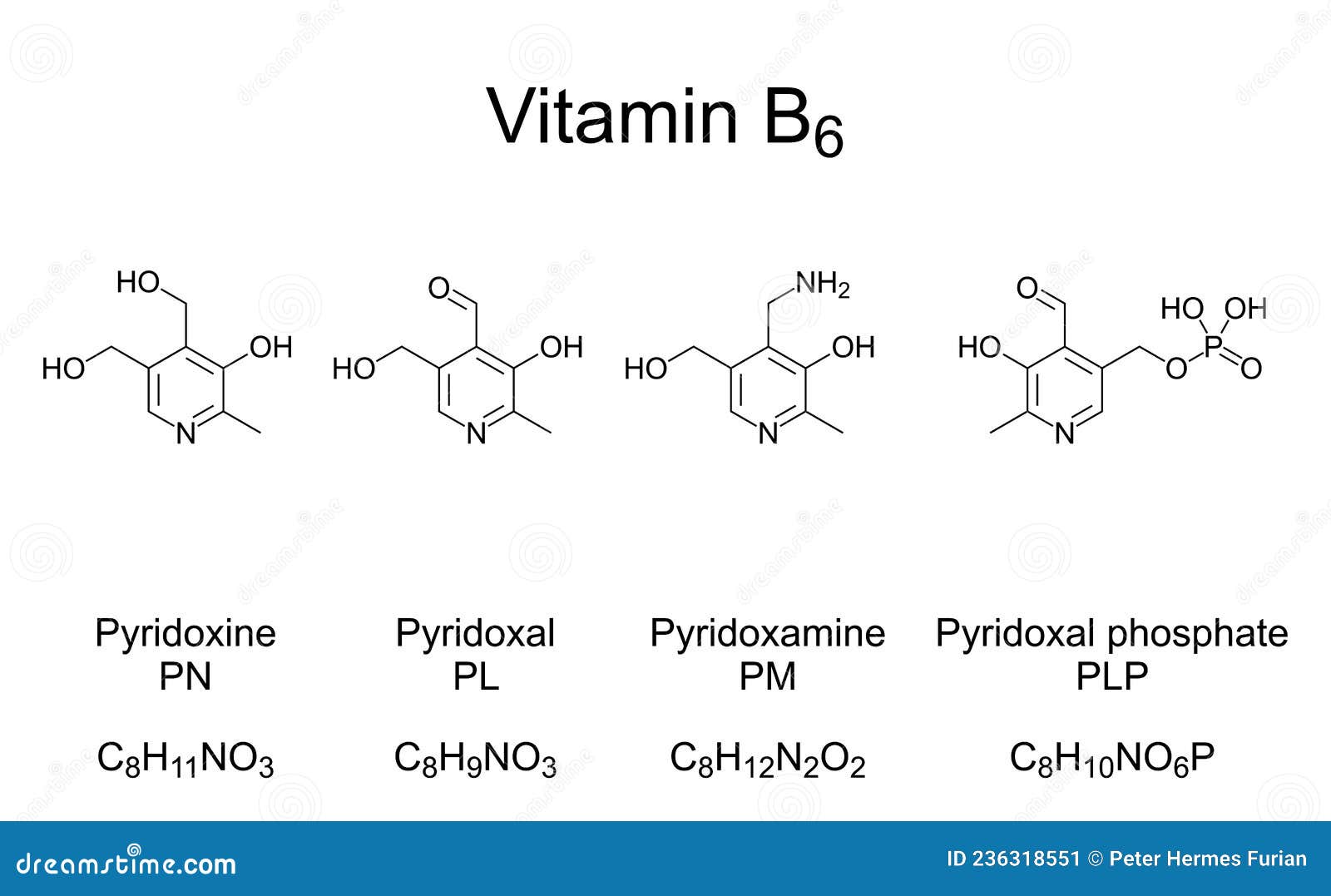 Pyridoxine A Form Of Vitamin B6 Chemical Formula And Structure pyridoxine-a-form-of-vitamin-b6-chemical-formula-and-structure