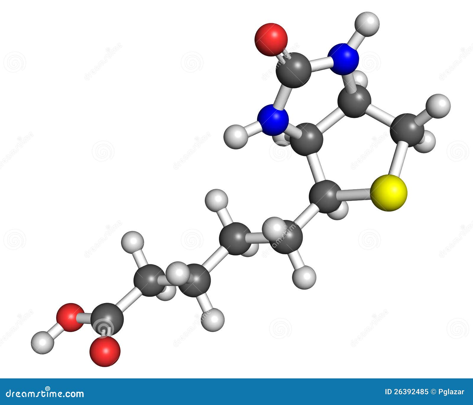 Vitamin B7 Molecule Royalty Free Stock Photo Image 26392485