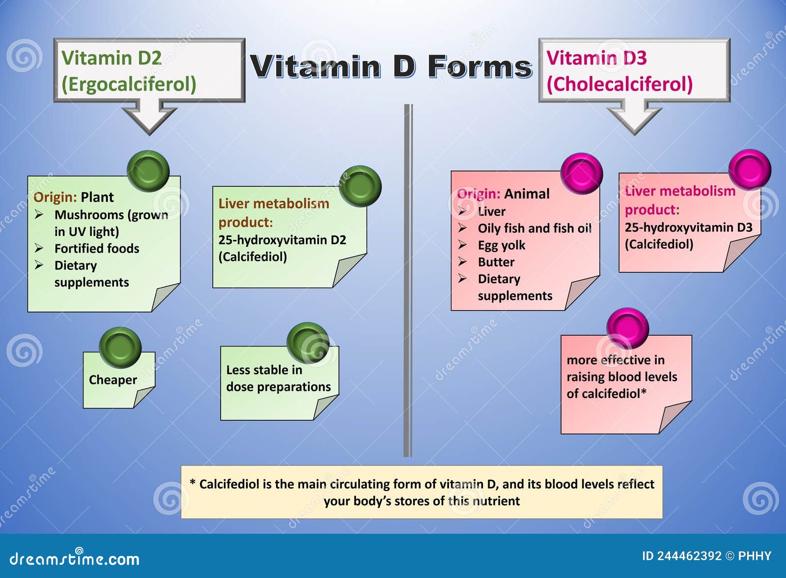 Vitamin D D3 Cholecalciferol Molecule Skeletal Formula Cartoon Vector vitamin-d-d3-cholecalciferol-molecule-skeletal-formula-cartoon-vector