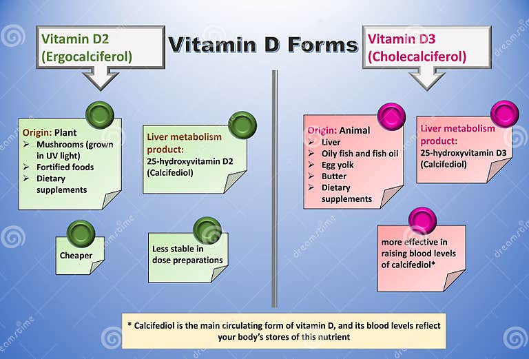 Vitamin D Forms. D2 (ergocalciferol) and Vitamin D3 (cholecalciferol