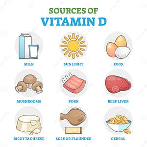 Vitamin D Sources In Food As Healthy Natural Intake Method Outline Diagram Stock Vector