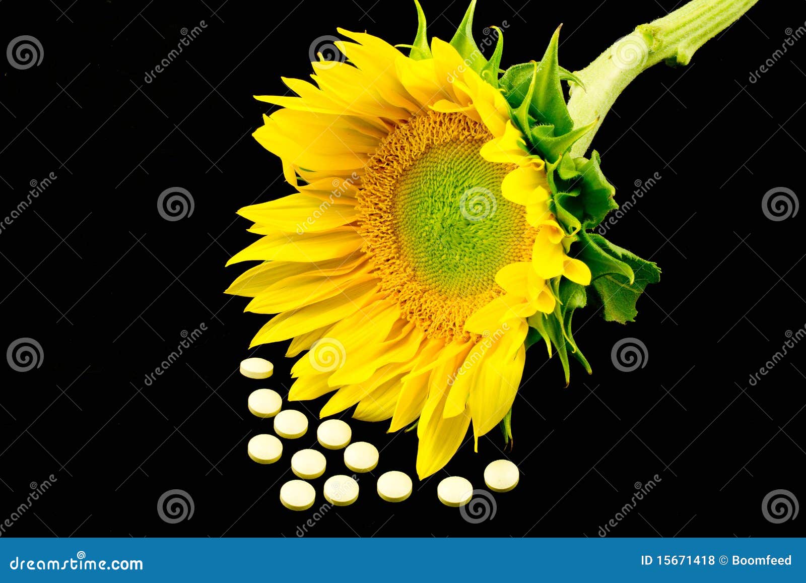Vitamin D and Sunflower stock photo. Image of yellow 15671418