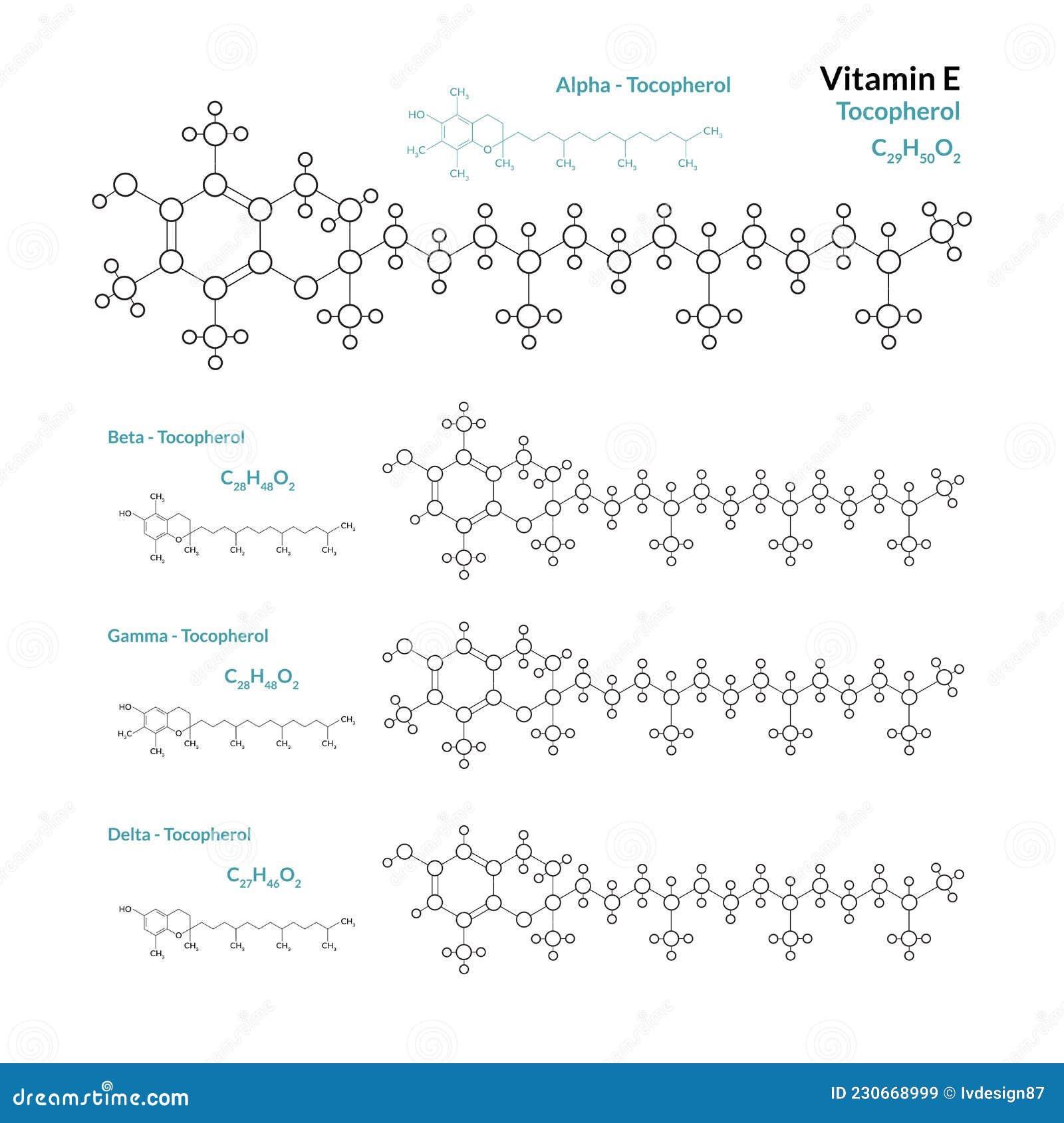 Vitamin E. Tocopherol. Fat Soluble Antioxidant. C29H50O2 Stock Vector
