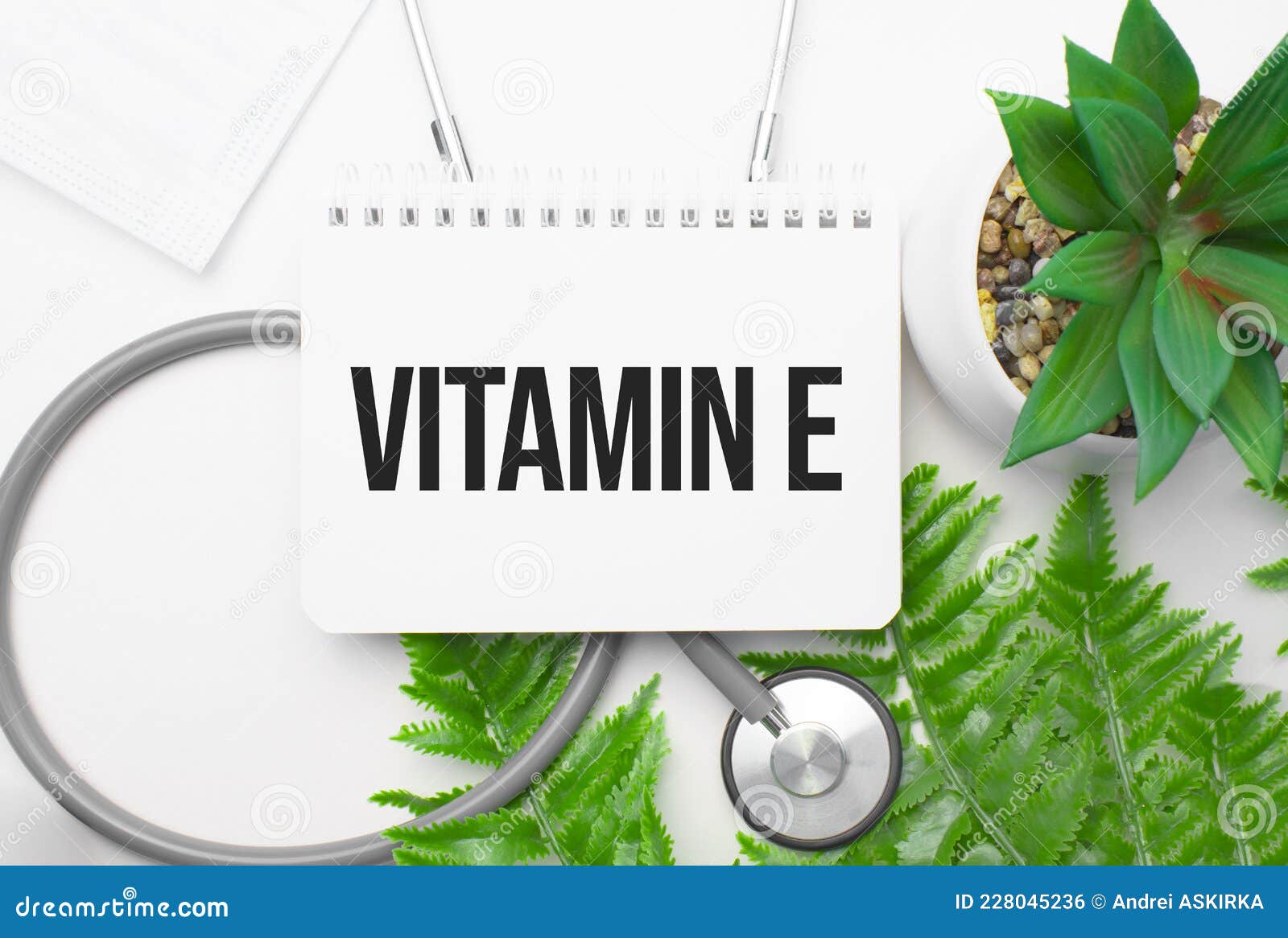 Vitamin E Word on Notebook,stethoscope and Green Plant Stock Photo
