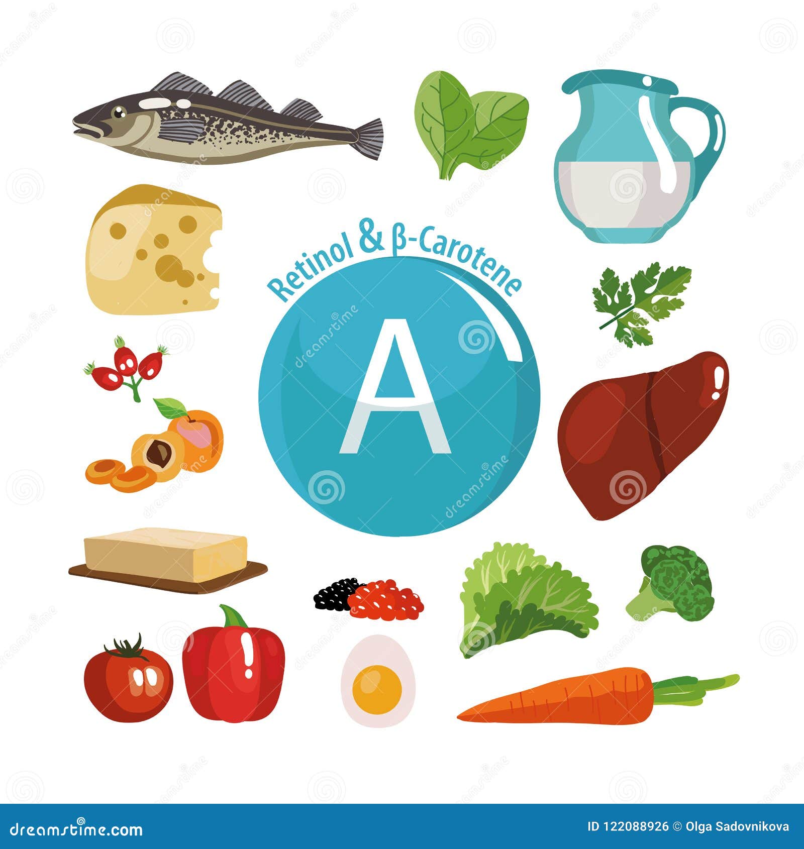 Vitamin a. Natural Organic Foods with High Vitamin Stock Vector - Illustration of cheese, milk: