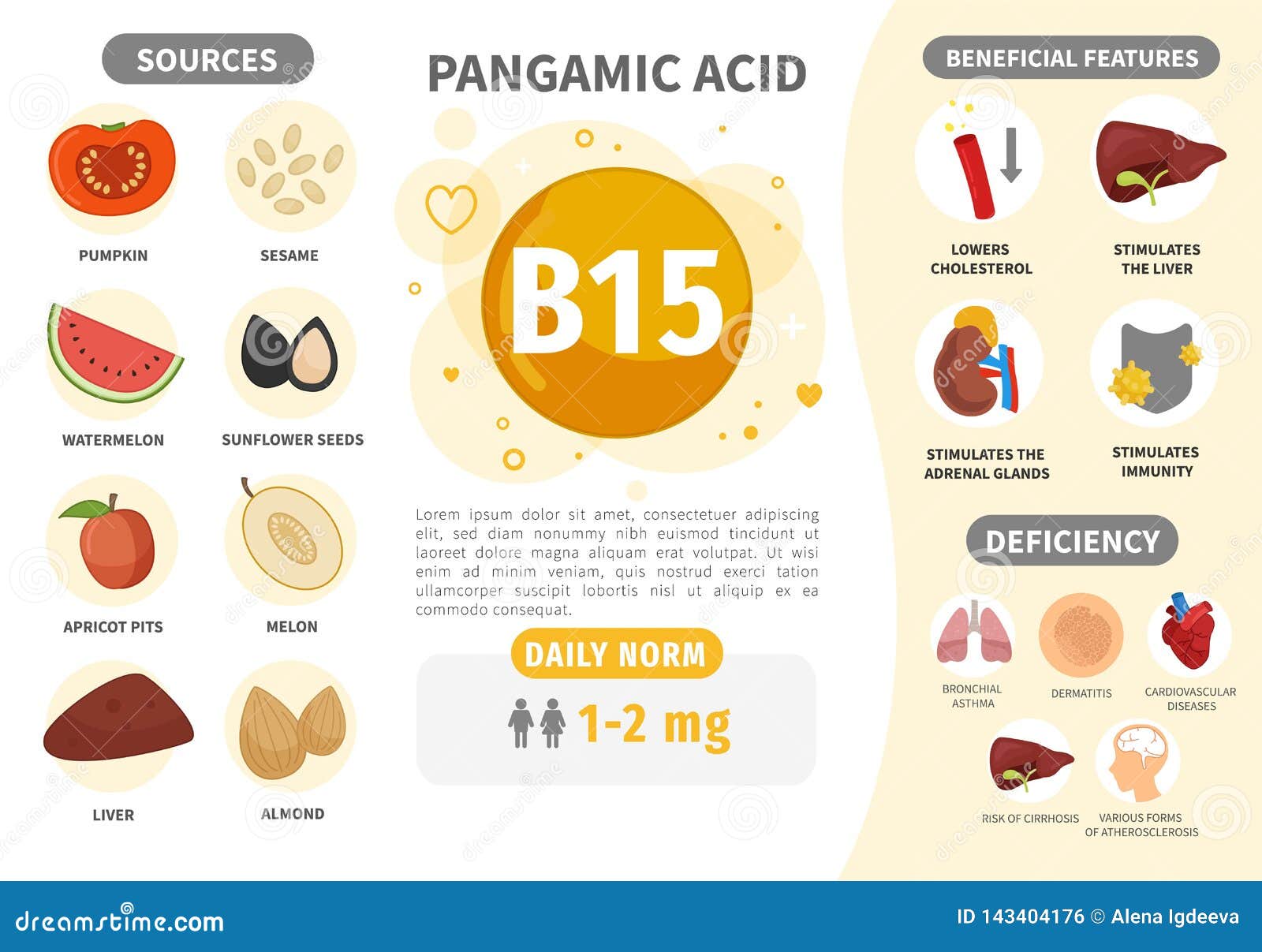 Vitamina B15 De Infographics Ilustraci n Del Vector Ilustraci n De vitamina-b15-de-infographics-ilustraci-n-del-vector-ilustraci-n-de