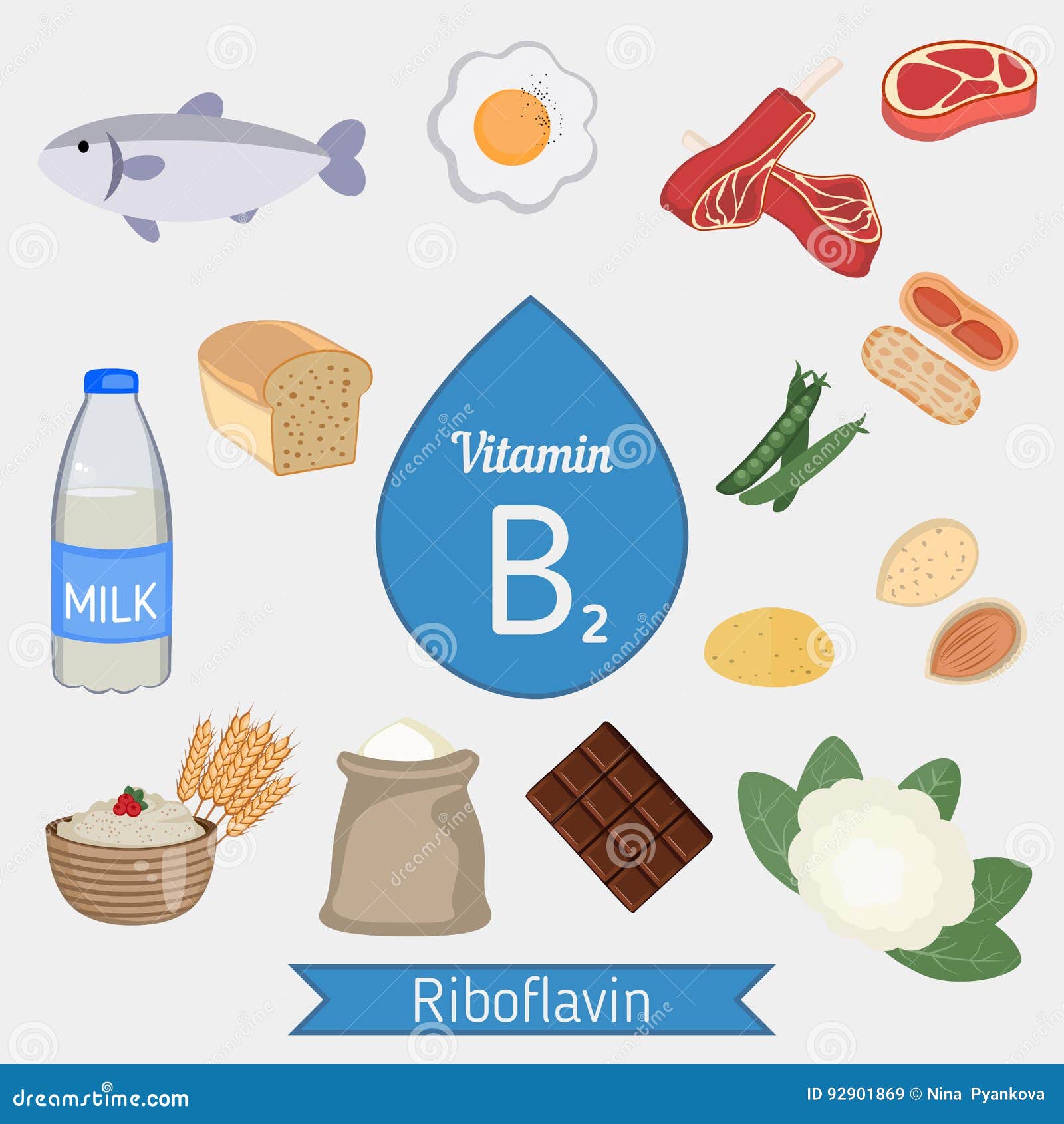 Vitamine B2 Ou Riboflavine Infographic Illustration de Vecteur