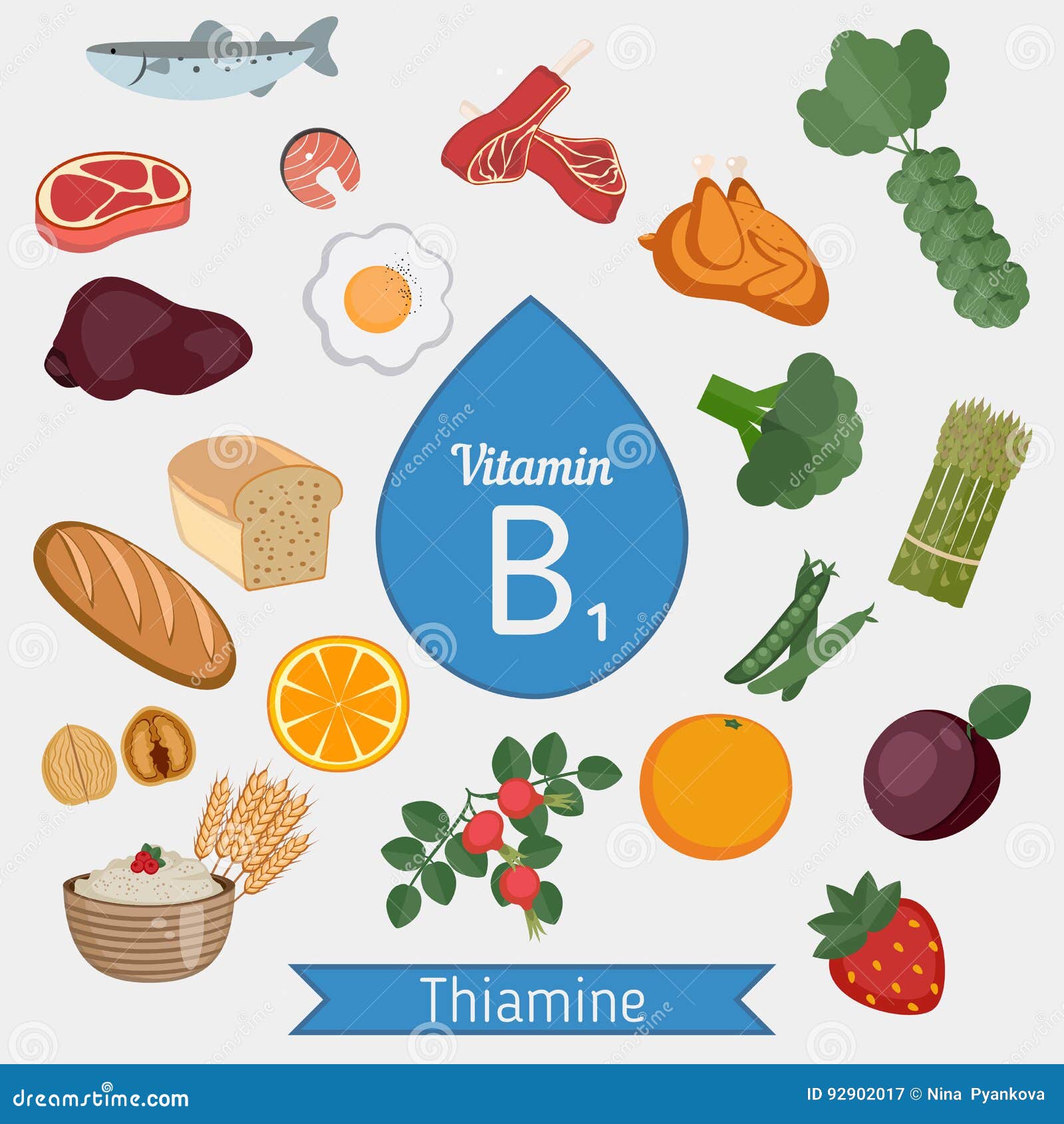 Vitamine B1 Ou Thiamine Infographic Illustration de Vecteur