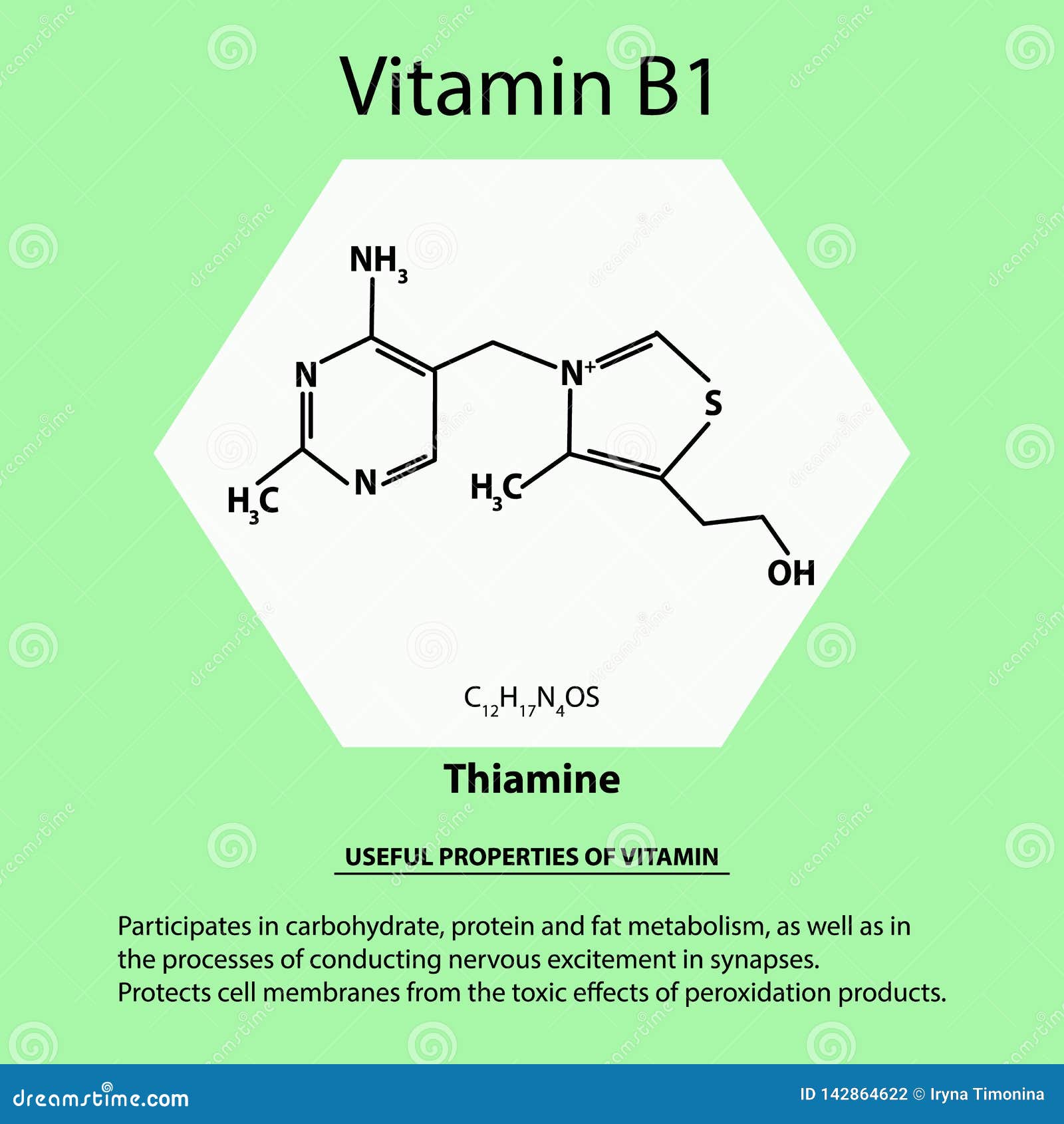 Vitamine B1 Thiamine Moleculaire Formule Nuttige Eigenschappen Van Infographics Vectorillustratie Vector Illustratie Illustration of element, 142864622