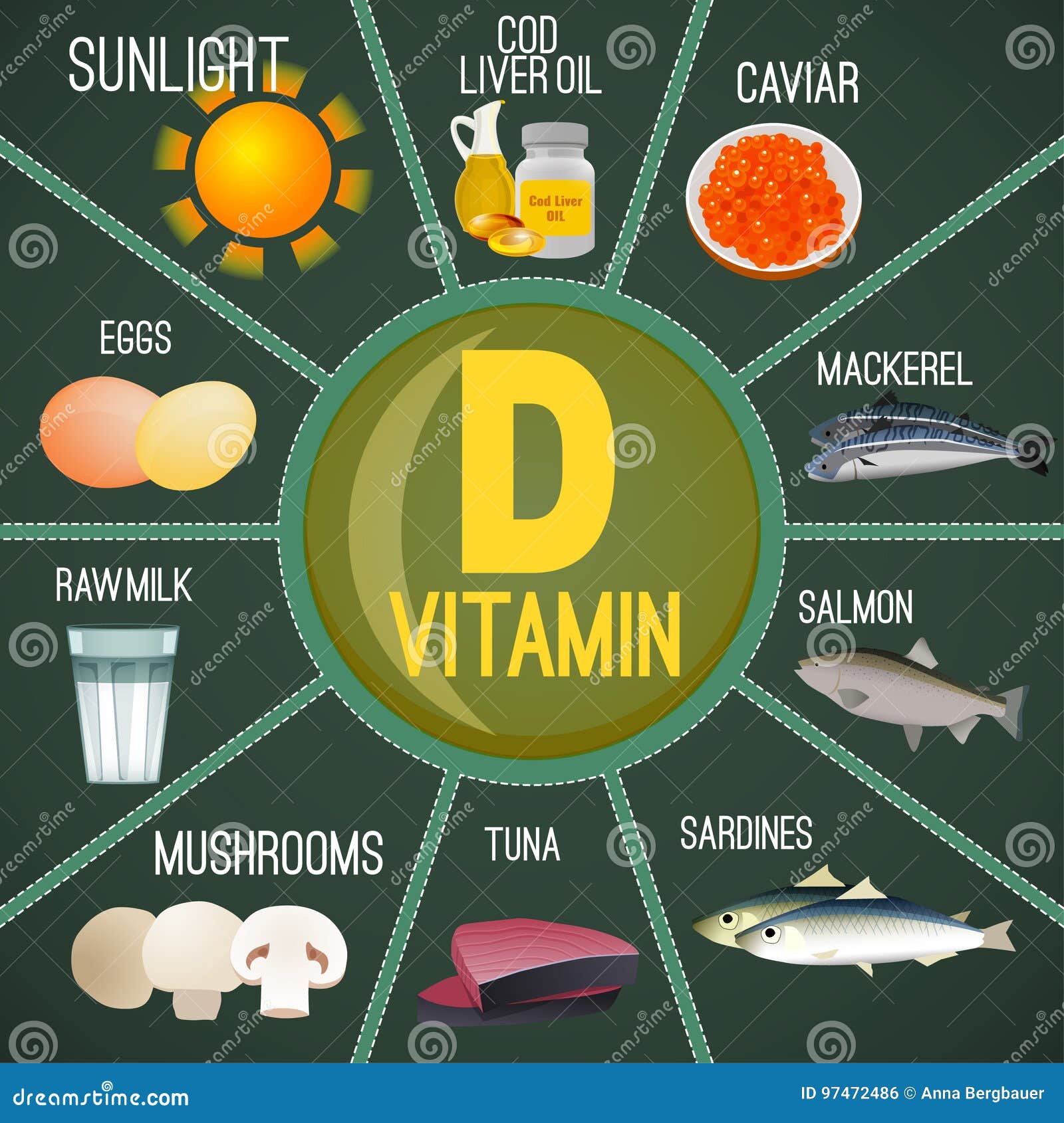 Uitbreiding kop fundament Vitamine D in voedsel vector illustratie. Illustration of paddestoel -  97472486