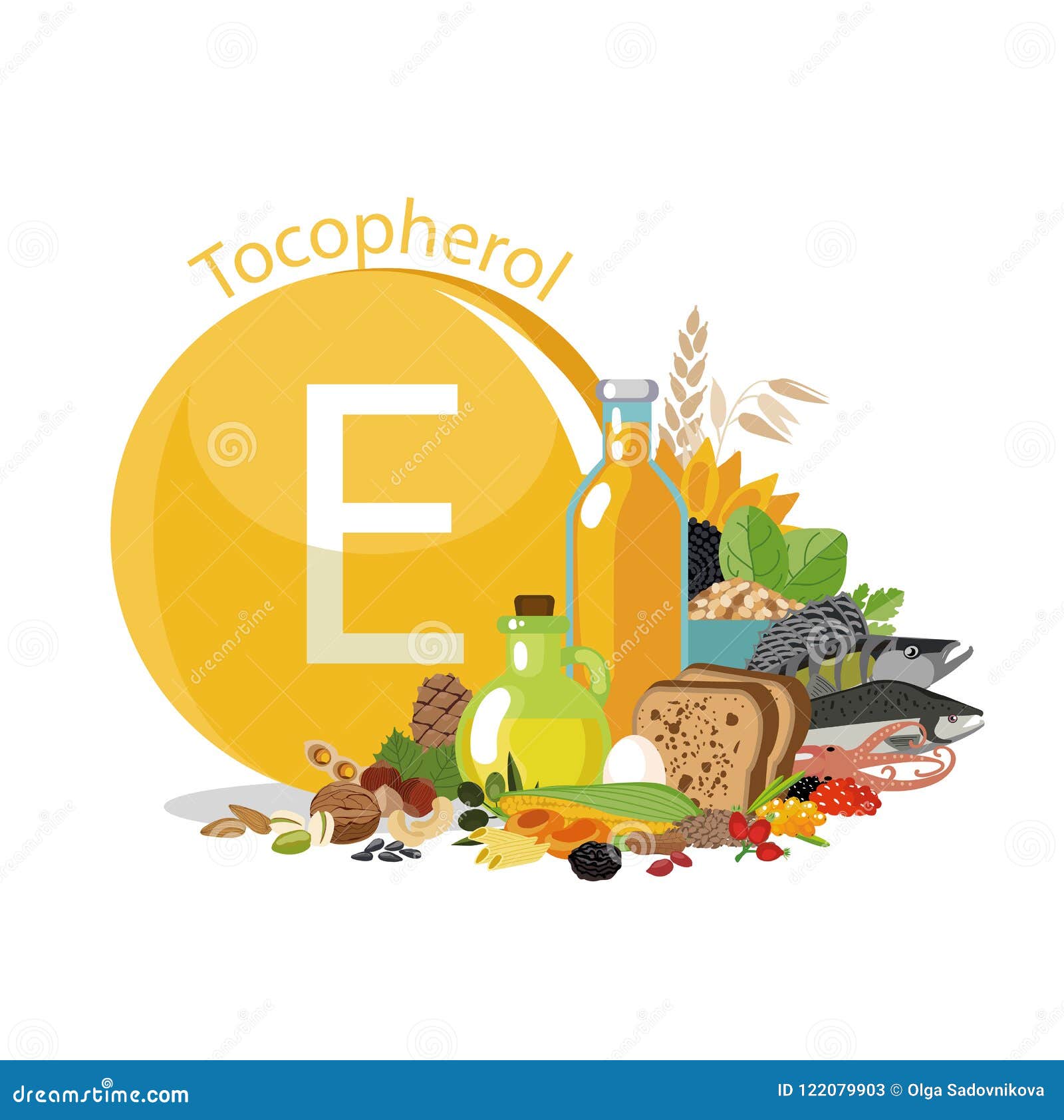 Vitamine E of Tocoferol Voedselbronnen Organisch Met Hoge Vitamineinhoud Vector Illustratie - of hazelnoten, levensstijl: 122079903
