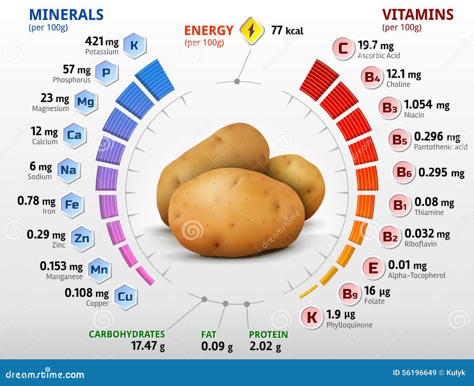 Vitaminen En Mineralen Aardappelknol Vector Illustratie - Illustration of elementen: 56196649
