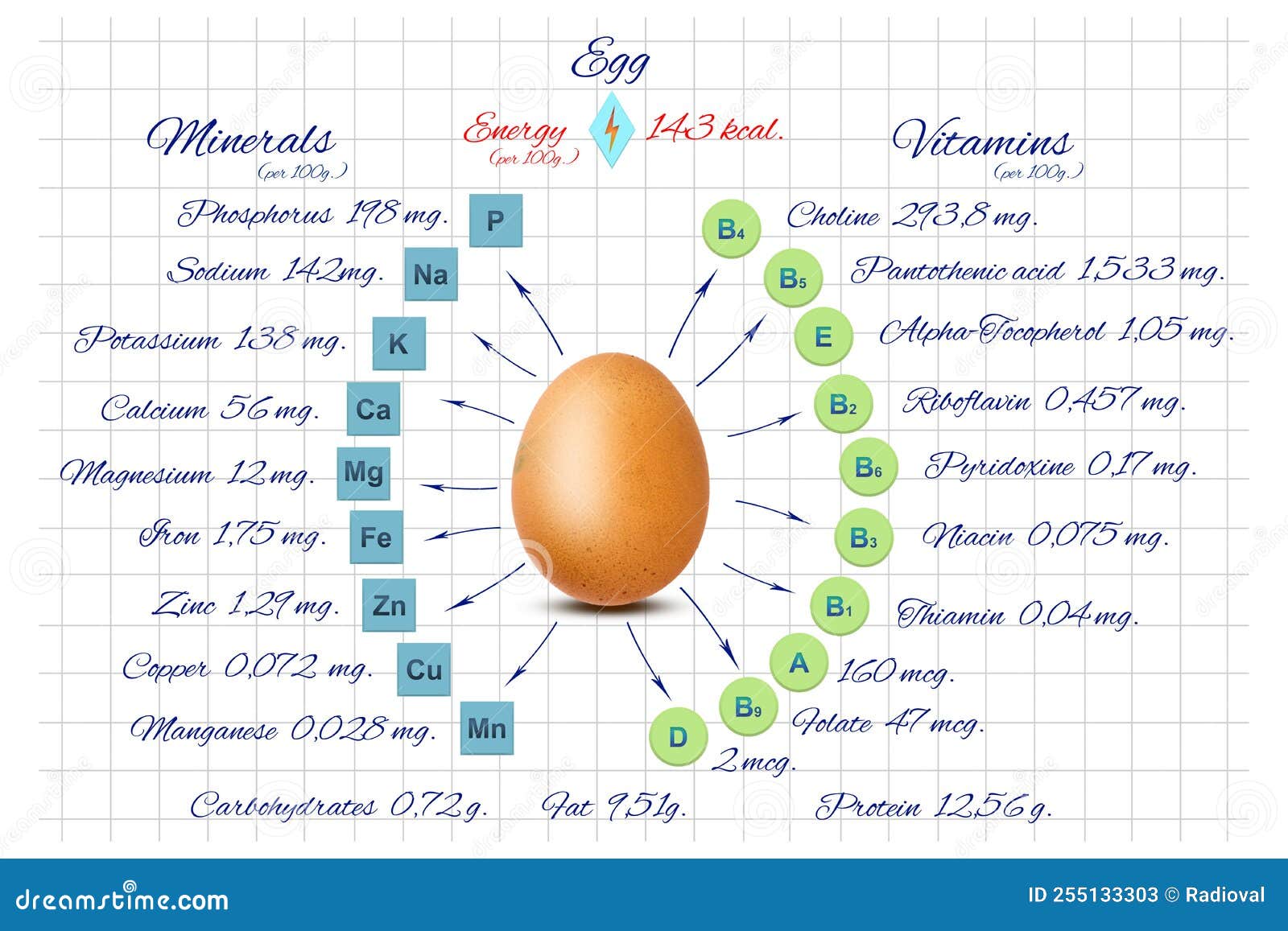 Vitamins And Minerals Of A Chicken Egg Information On A White Notebook vitamins-and-minerals-of-a-chicken-egg-information-on-a-white-notebook