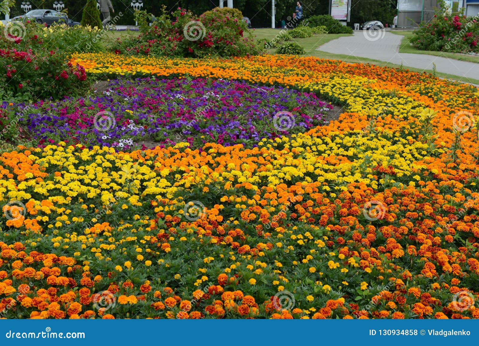 city flower garden with bright summer flowers on vitebsk street