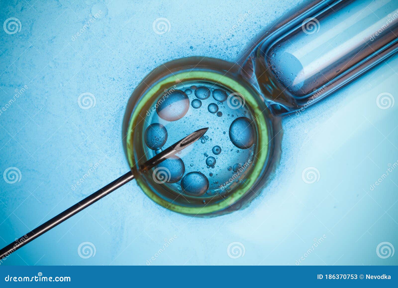 in vitro fertilization, ivf concept