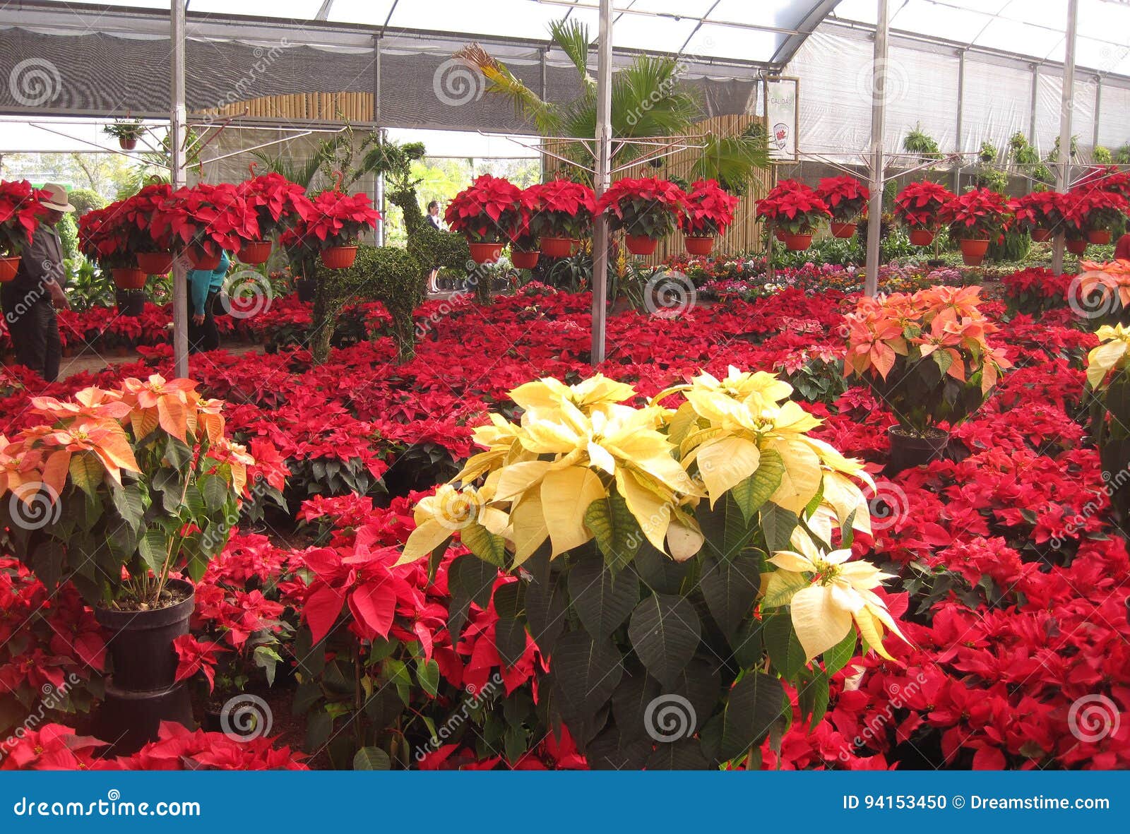 vivero nursery