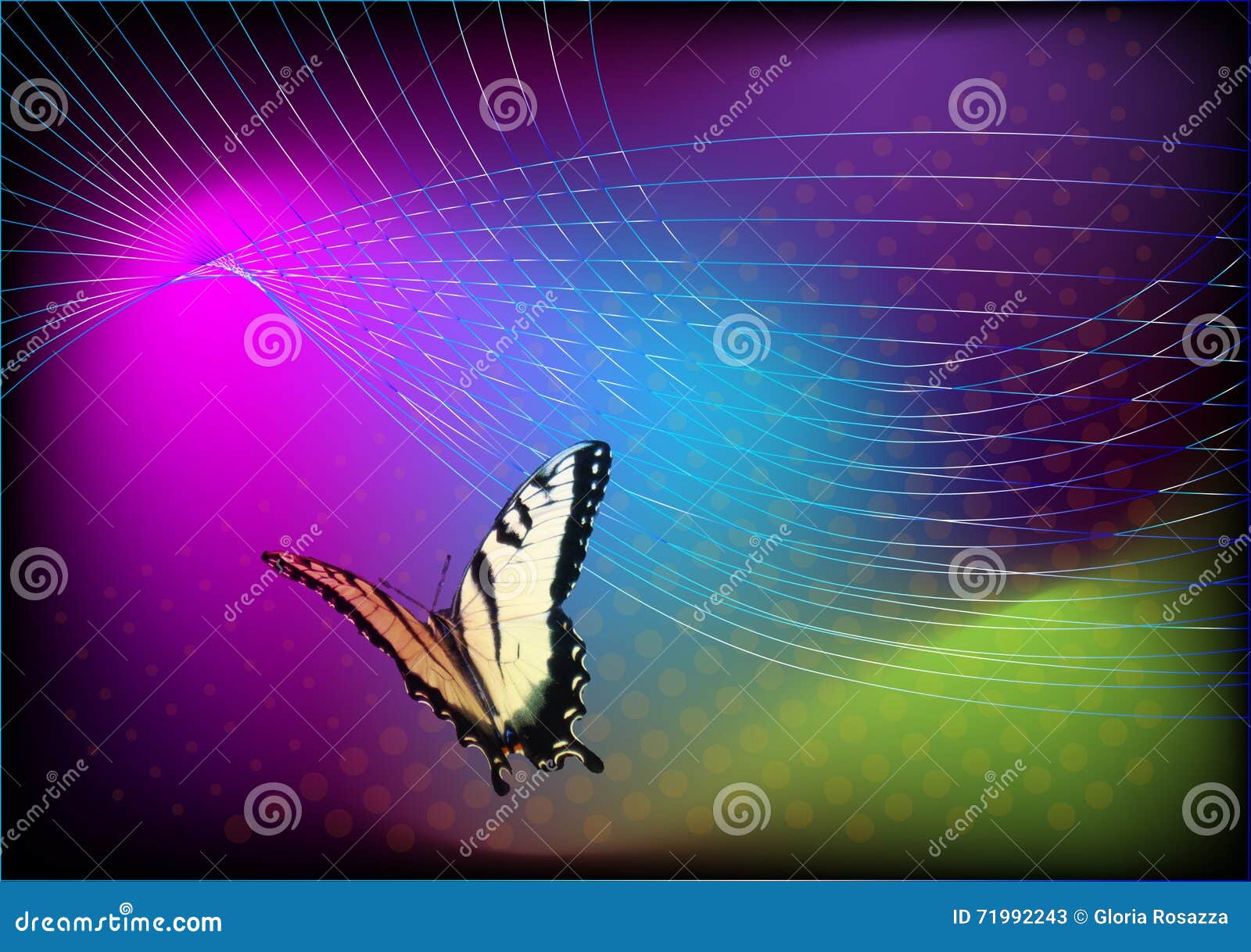 Vivid background butterfly stock illustration. Illustration of