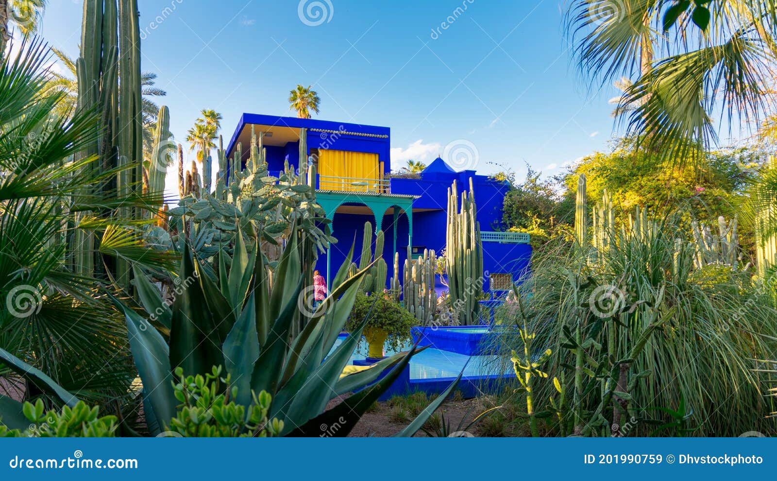 vivid blue building and garden of captus and exotic plants. majorelle garden. concept of travel and architecture. marrakech,