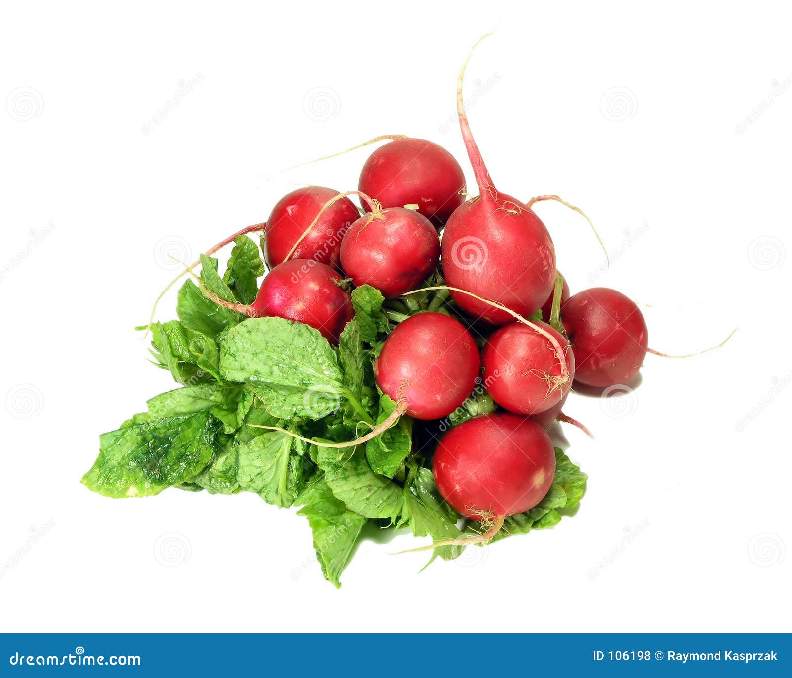 Vivid Red radishes stock photo. Image of radishes, ingredients 106198