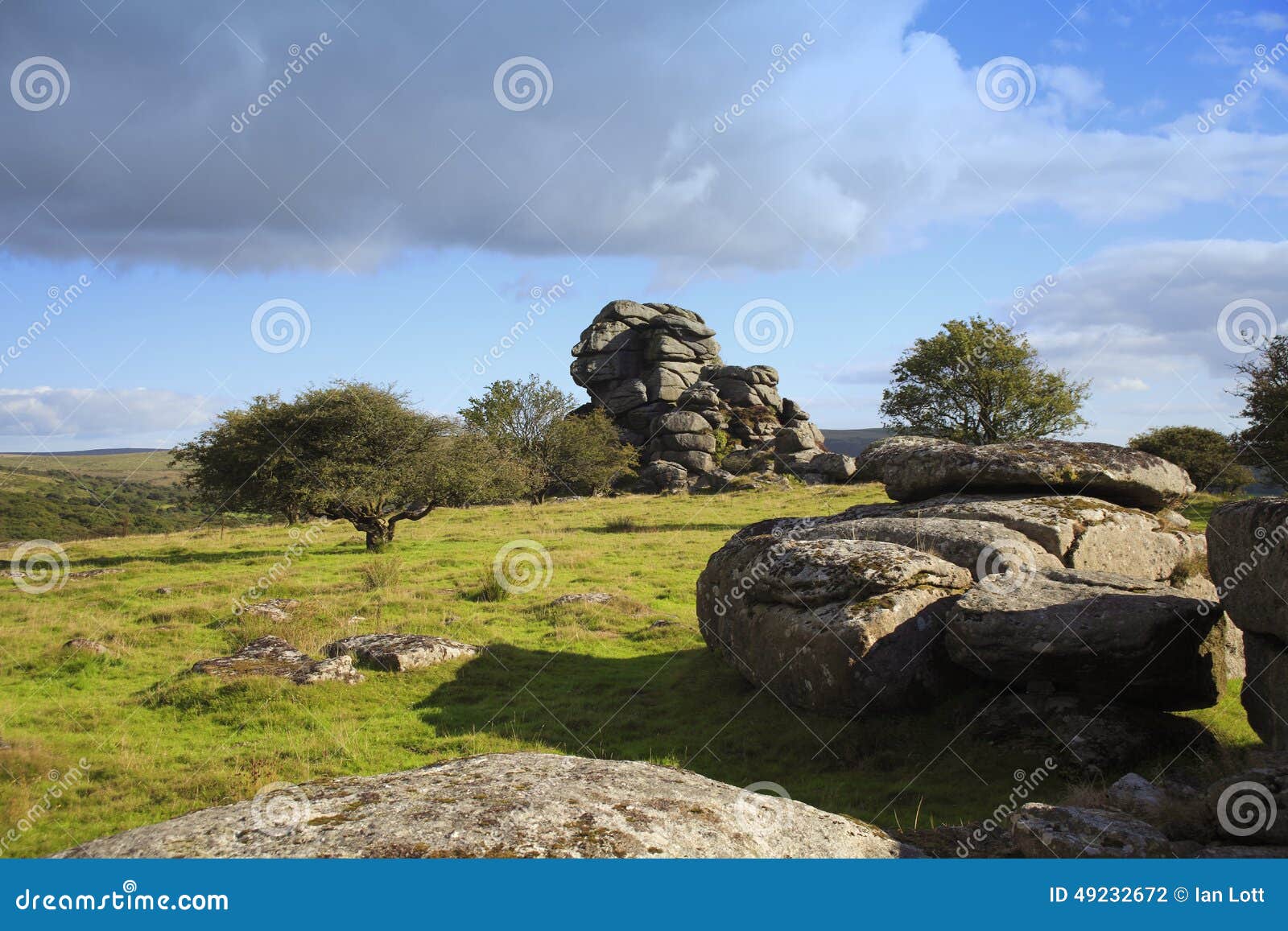 vixen tor, dartmoor national park devon, uk