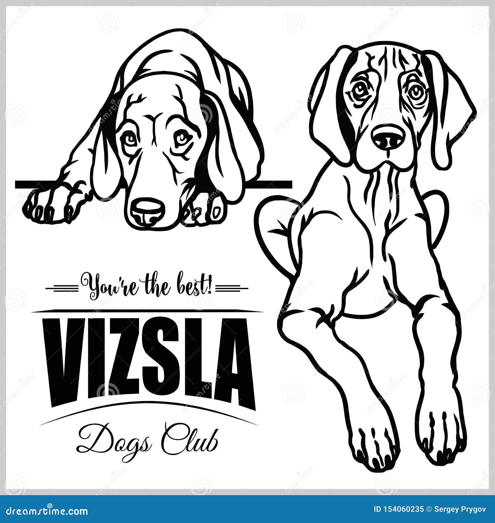 Vizsla - Vector Set Isolated Illustration on White Background Stock