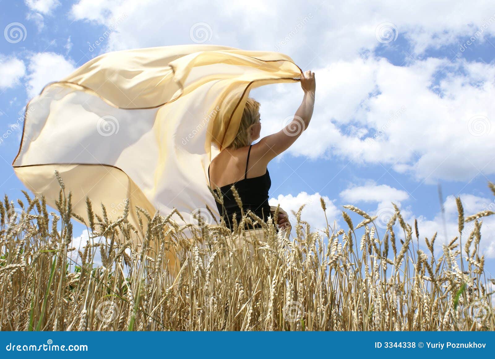 Vleugels van vrijheid. Vleugels van een sprei die op een wind fladdert