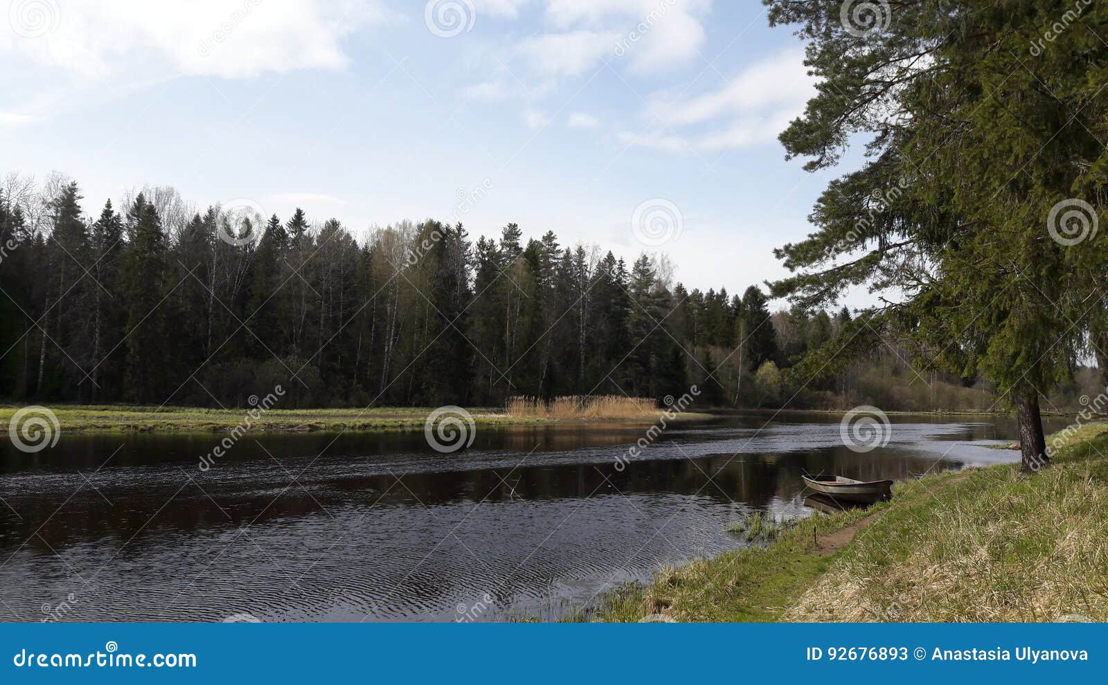 Vloed van de rivier in het bos de boot aan de kust