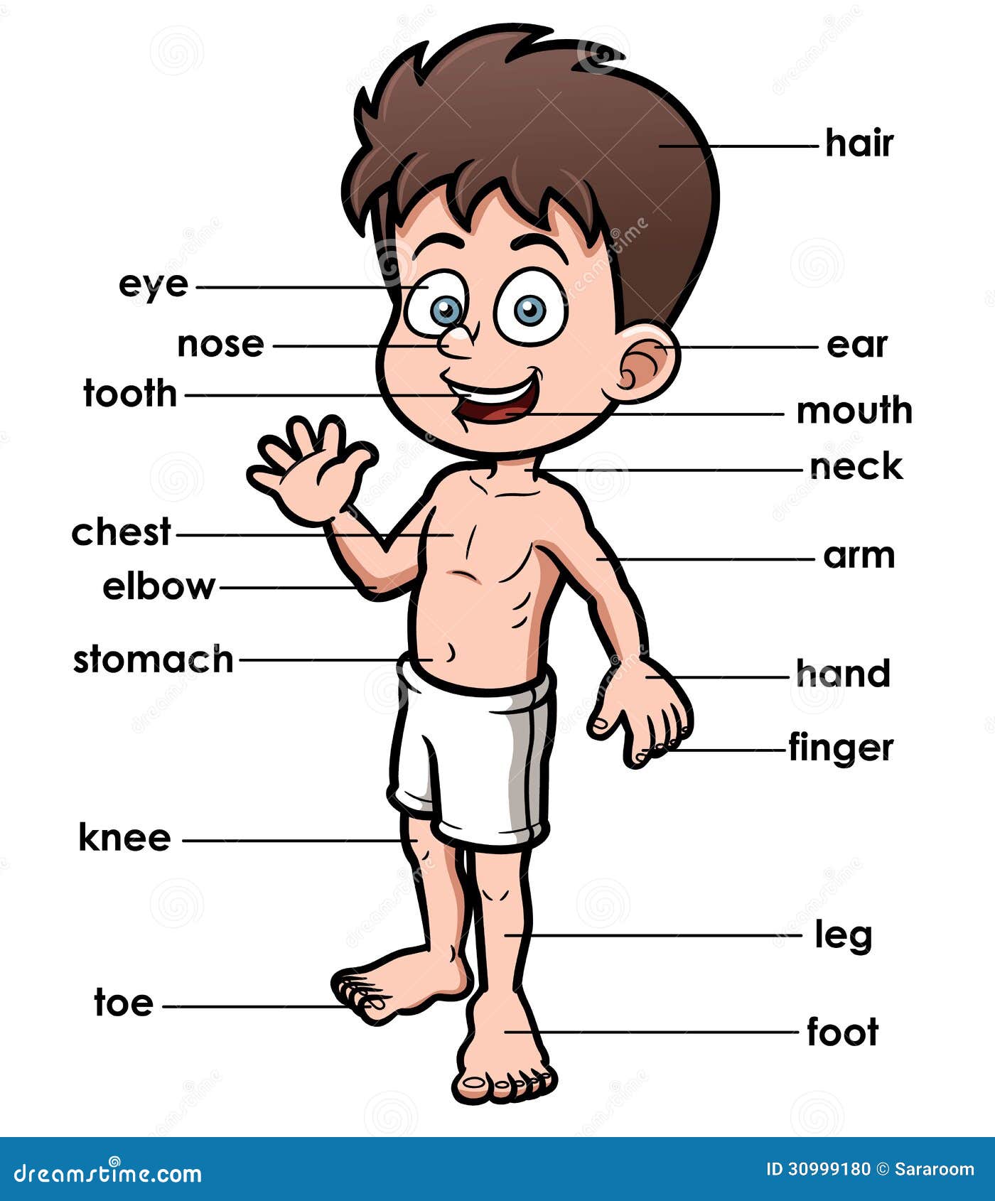 vocabulary part of body