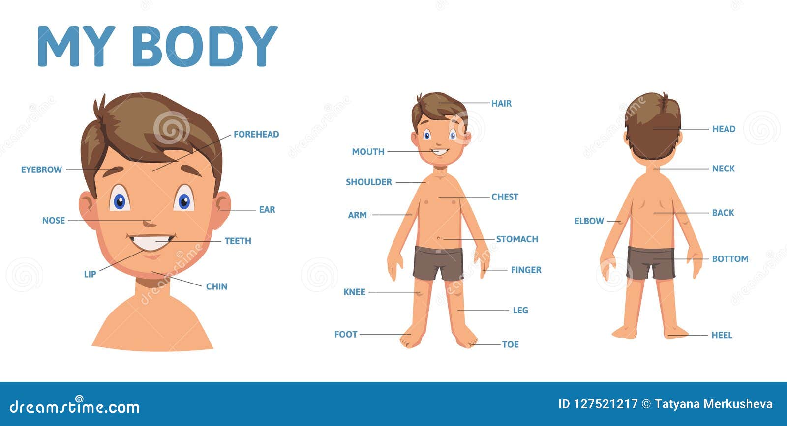 Male Body Where Ar The Parts - Male Body Parts In Kolkata Salt Lake