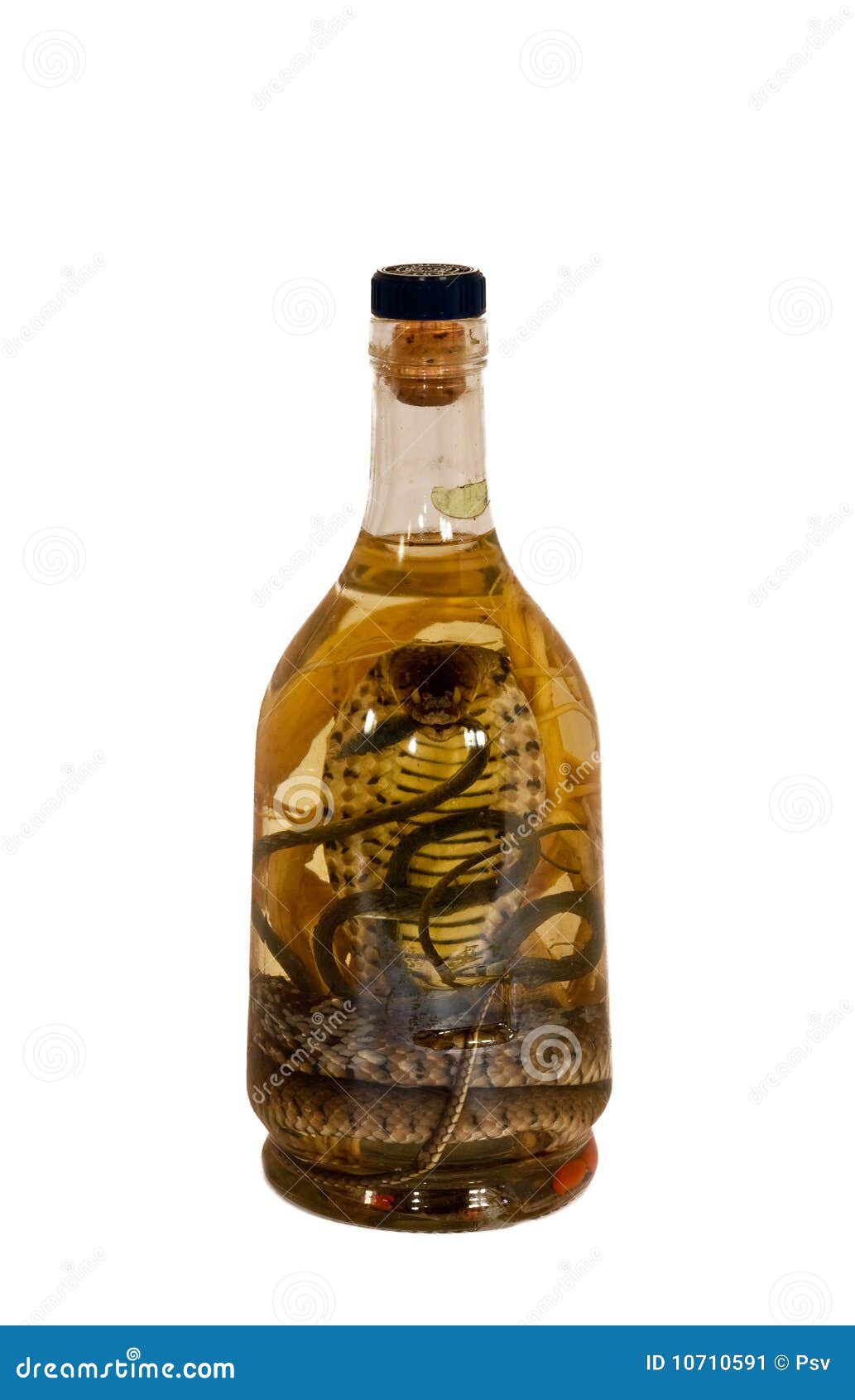 Vodka com cobra na garrafa imagem de stock. Imagem de alcoolismo - 10710591, image size:1033x1690