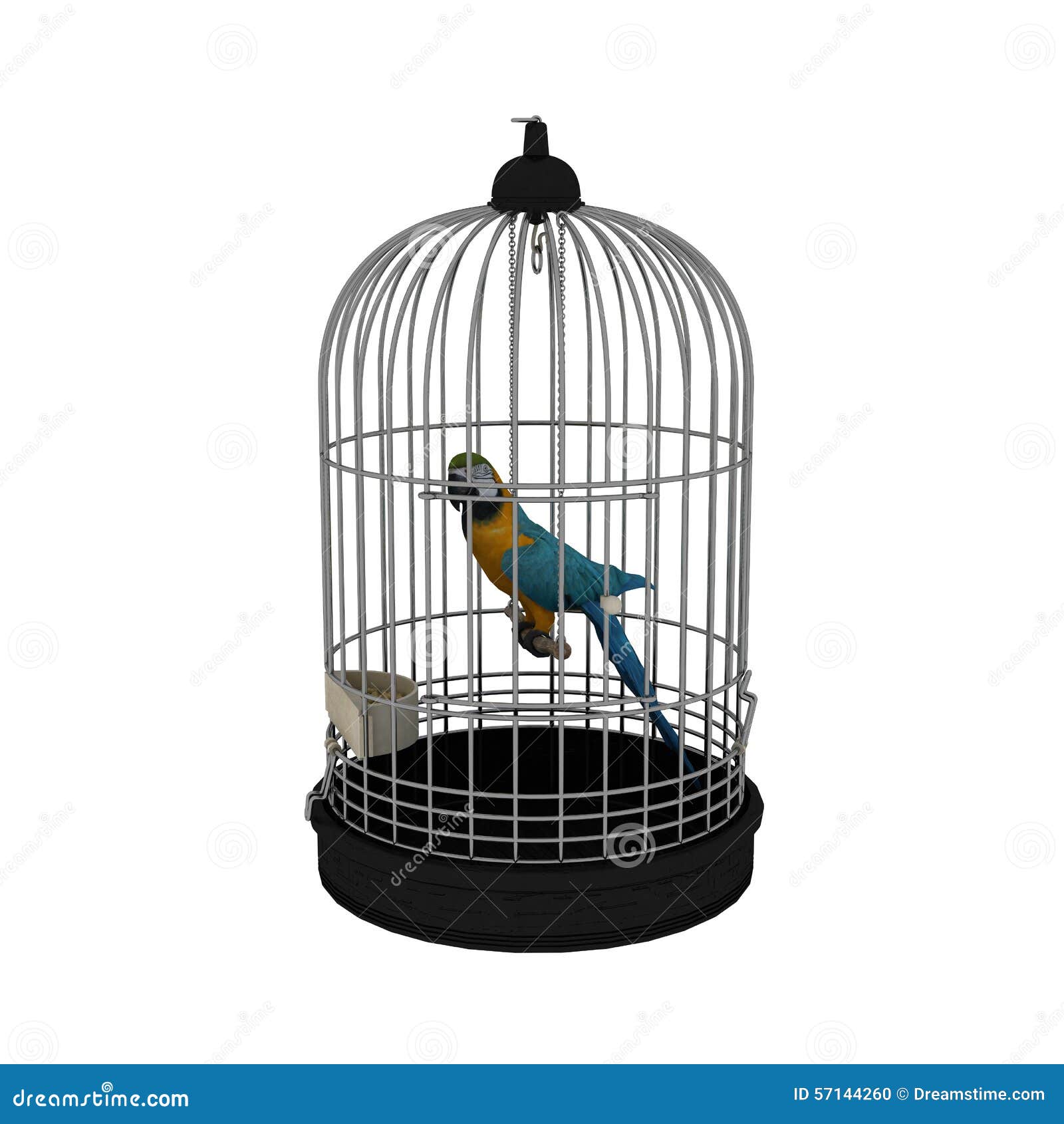 Afbeeldingsresultaat voor vogel in kooi