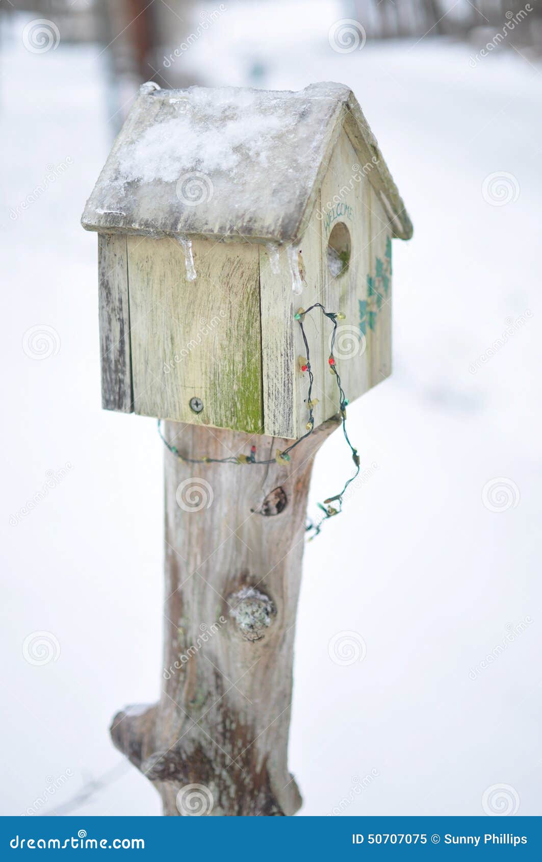 Vogelhaus im Winter stockbild. Bild von hölzern, eisig 50707075