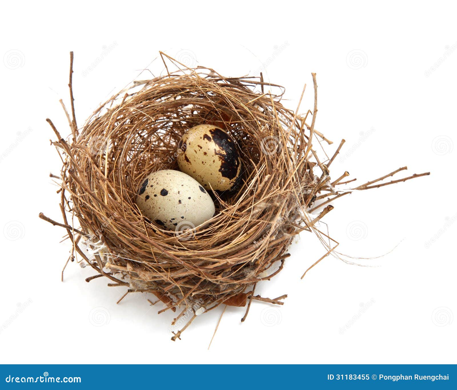 7 days to die bird nest 7 days to die bird nest
