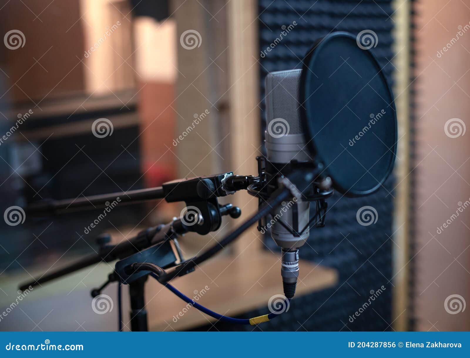 Voice Microphone with Shock Mount and Pop Filter on Professional Tripod