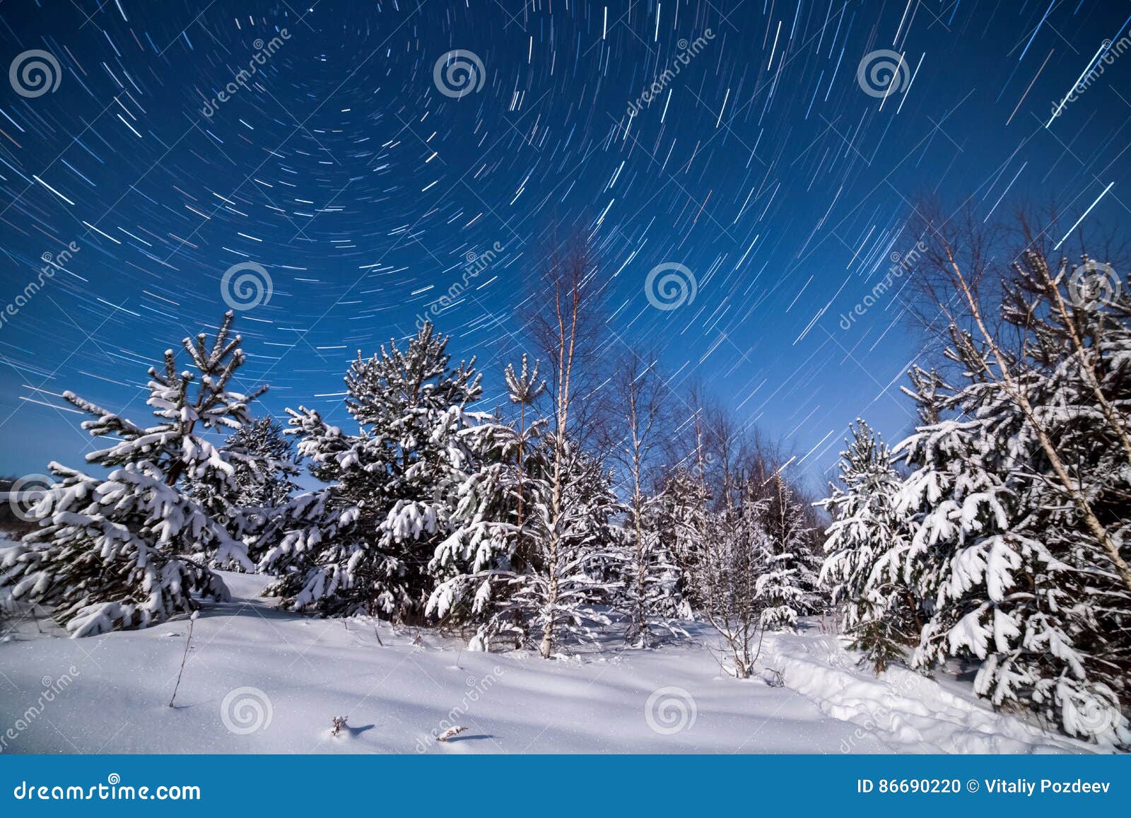Voies De Pôle Nord De Startrails Dans Le Ciel Photo Stock