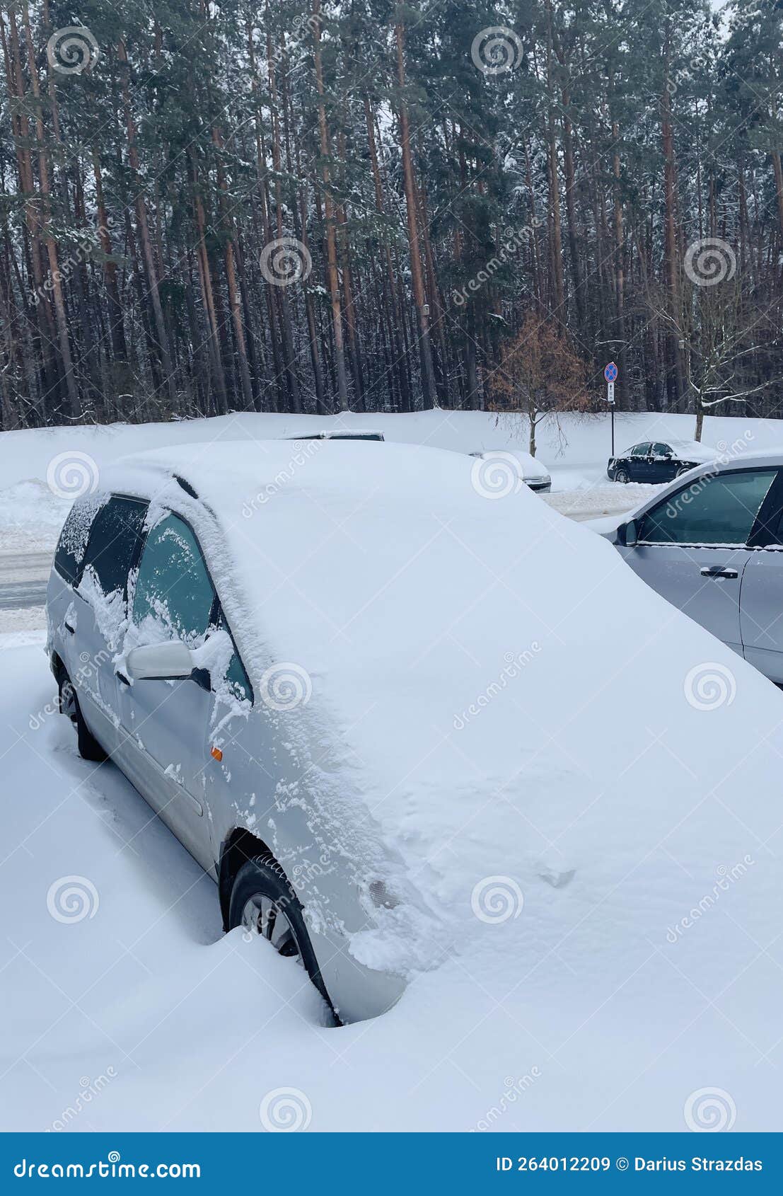 https://thumbs.dreamstime.com/z/voiture-sous-la-neige-lourde-en-europe-voitures-enterr%C3%A9es-saison-hivernale-profonde-264012209.jpg
