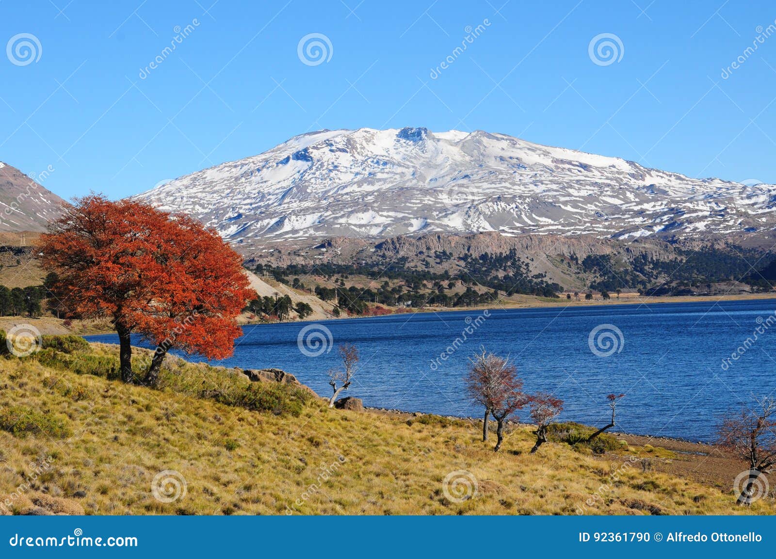 volcan copahue, argentina.