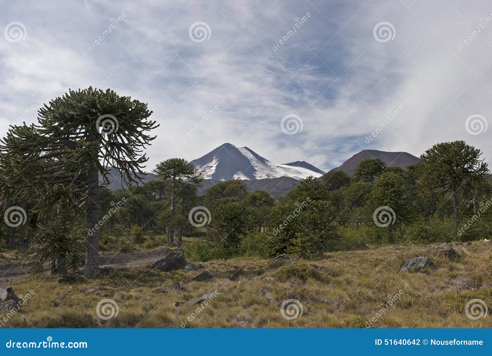 volcan llaima in conguillo nacional park, chile