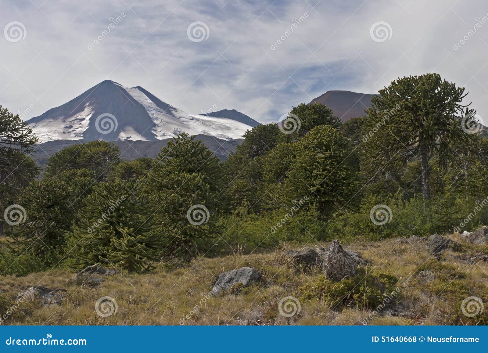 volcan llaima in conguillo nacional park, chile