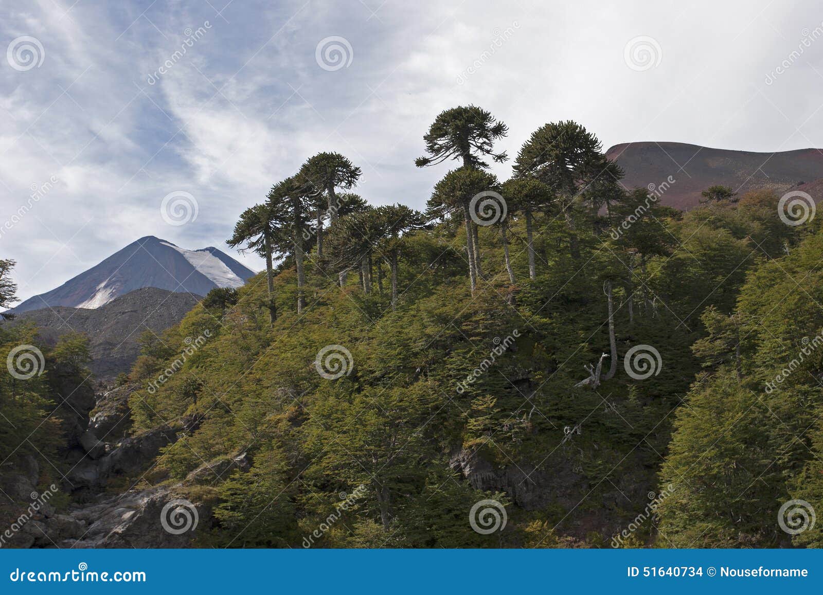 volcan llaima in conguillo nacional park, chile